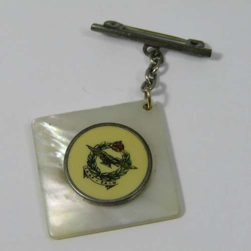 WW2 SA Air Force sweetheart brooch