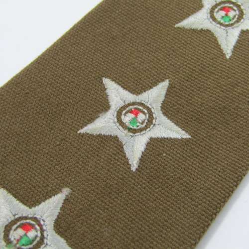 Pair of SA Army rank epaulettes