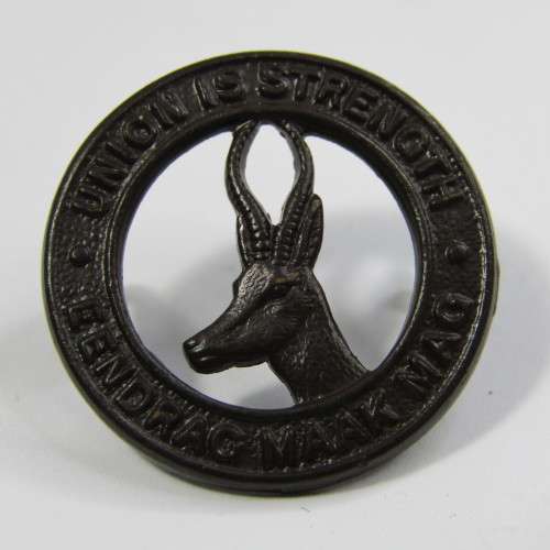 Pair of SA Army collar badges
