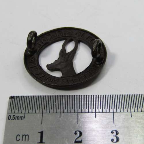 Pair of SA Army collar badges