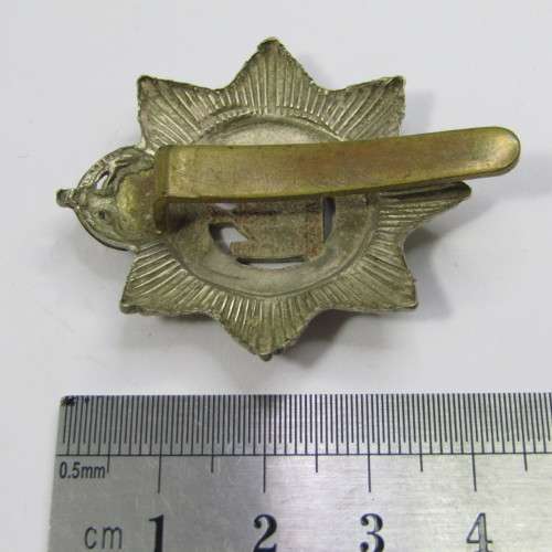 The Devonshire Regiment cap badge