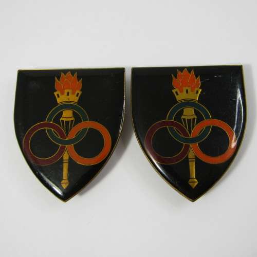 Pair of SADF Services School shoulder flash