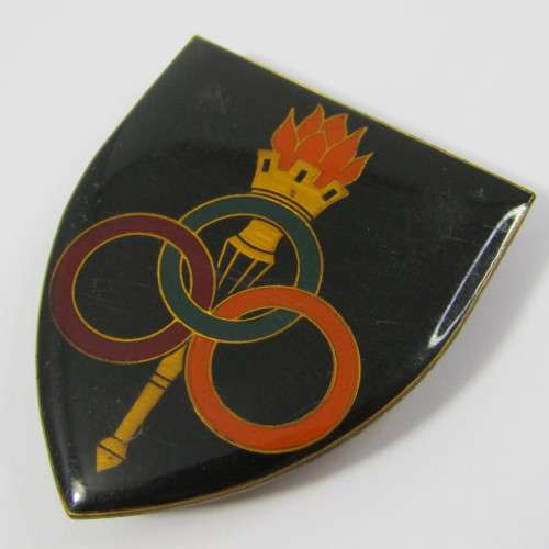 Pair of SADF Services School shoulder flash