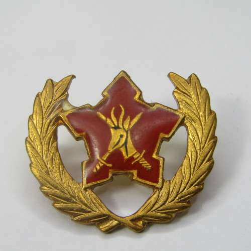 SA Army citizen force breast badge