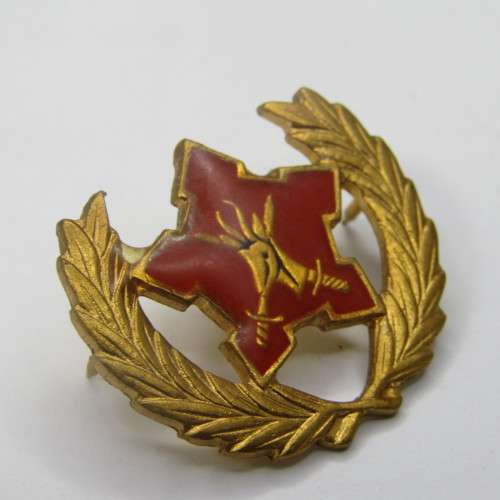 SA Army citizen force breast badge