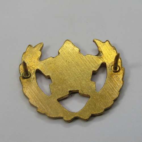 SA Army citizen force breast badge