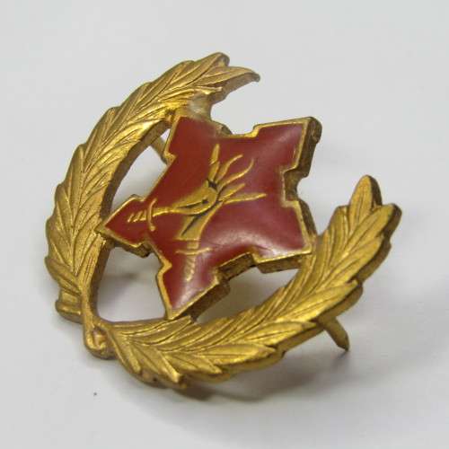 SA Army citizen force breast badge