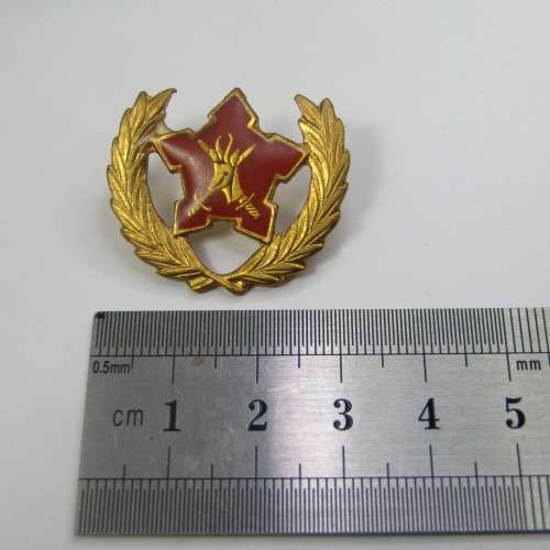 SA Army citizen force breast badge