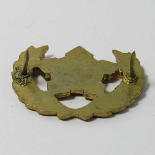 SA Army Citizen Force breast badge
