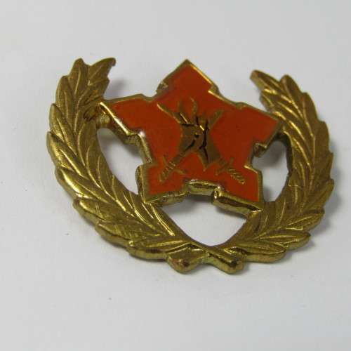 SA Army Citizen Force breast badge