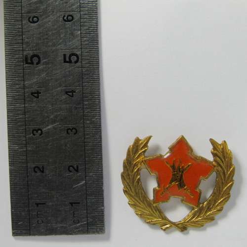 SA Army Citizen Force breast badge