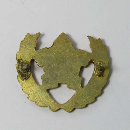SA Army Citizen Force breast badge
