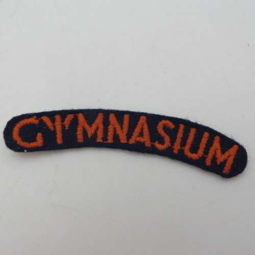 SADF Military Gymnasium cloth shoulder title
