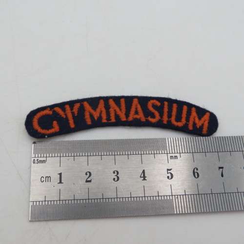 SADF Military Gymnasium cloth shoulder title