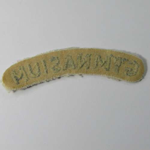 SA Navy Military Gymnasium cloth shoulder title