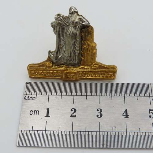 SADF Cape Corps collar badge