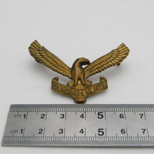 Lot of South African Air Force badges and buttons