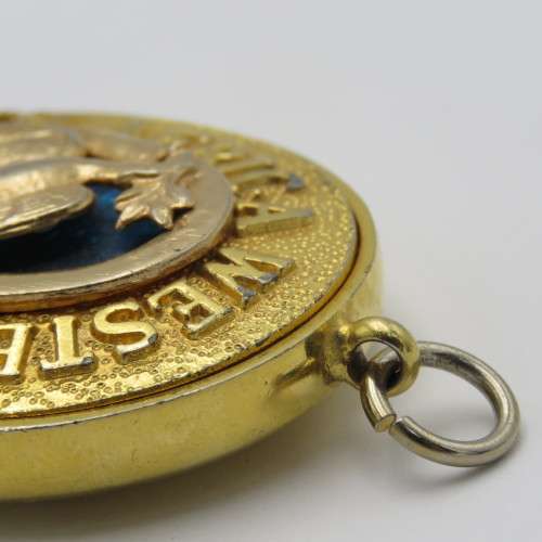 Masonic South Africa Western Division collar jewel
