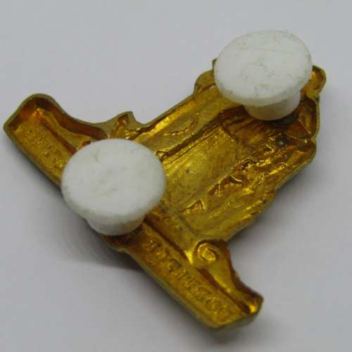 SADF Cape Corps collar badge