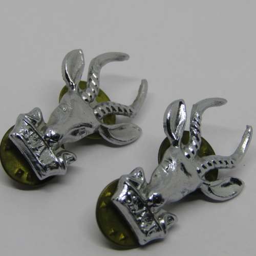 Pair of SA Infantry collar badges