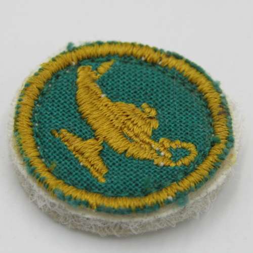 SA Army Nurse proficiency cloth badge