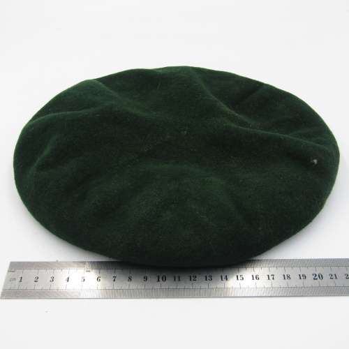 SADF Regiment Northern Transvaal beret with badge