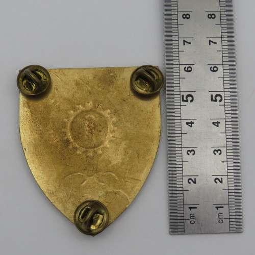 Pair of SADF 1 Maintenance unit shoulder flashes