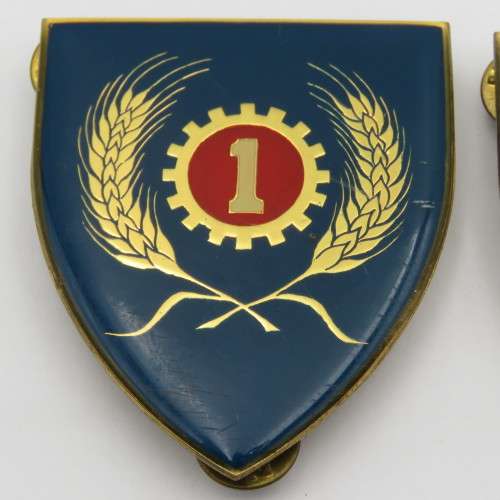 Pair of SADF 1 Maintenance unit shoulder flashes