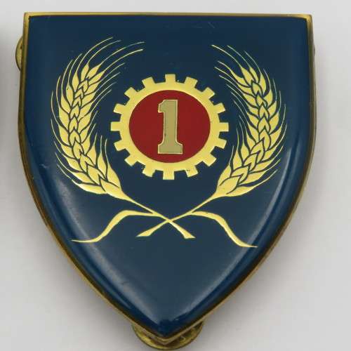 Pair of SADF 1 Maintenance unit shoulder flashes