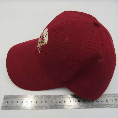 SADF 1 Parachute battalion Veterans association cap