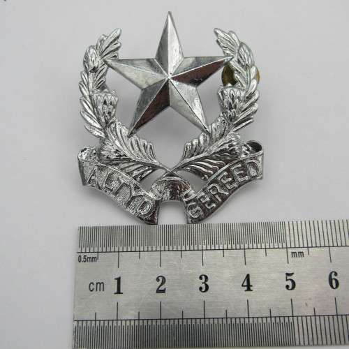 SADF regiment Botha chromed cap badge