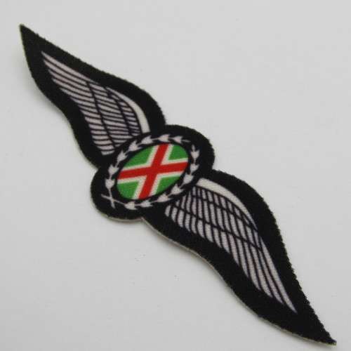 SA Air Force commando pilot wings - printed cloth