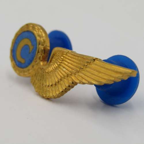SA Air Force chef mess dress breast badge wing