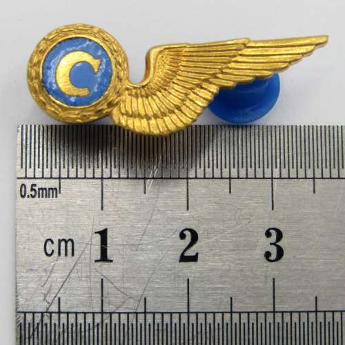 SA Air Force chef mess dress breast badge wing