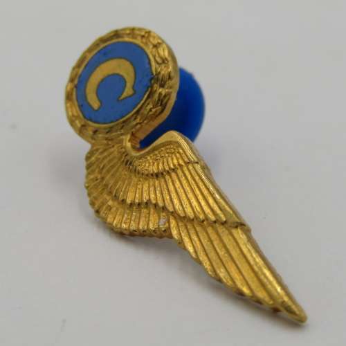 SA Air Force chef mess dress breast badge wing