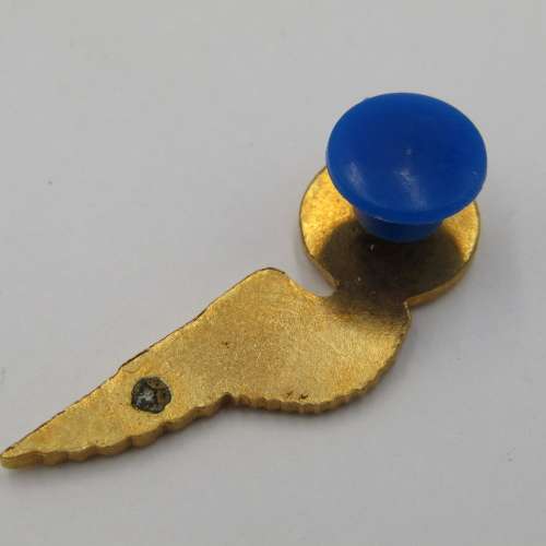 SA Air Force chef mess dress breast badge wing