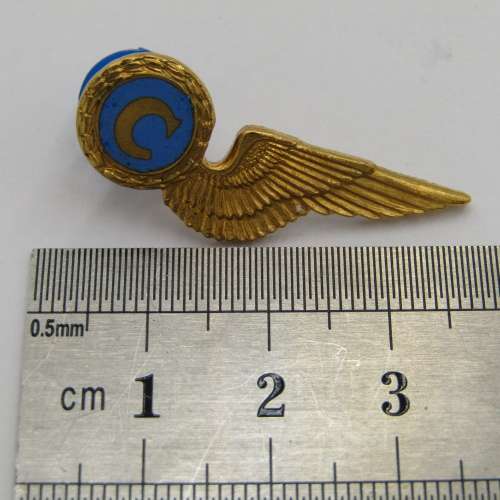 SA Air Force chef mess dress breast badge wing
