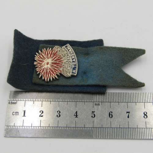 Northern Transvaal Rugby pin badge - vintage
