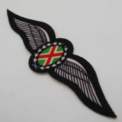 SA Air Force commando pilot wings - printed cloth