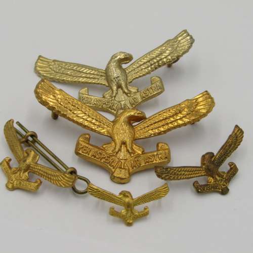 Lot of 5 different SA Air Force badges
