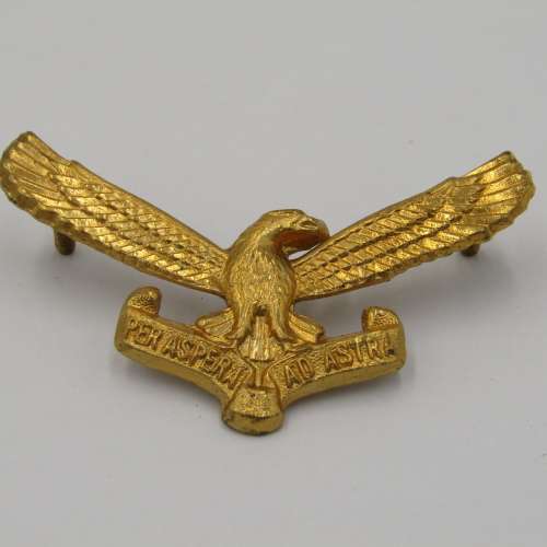 Lot of 5 different SA Air Force badges