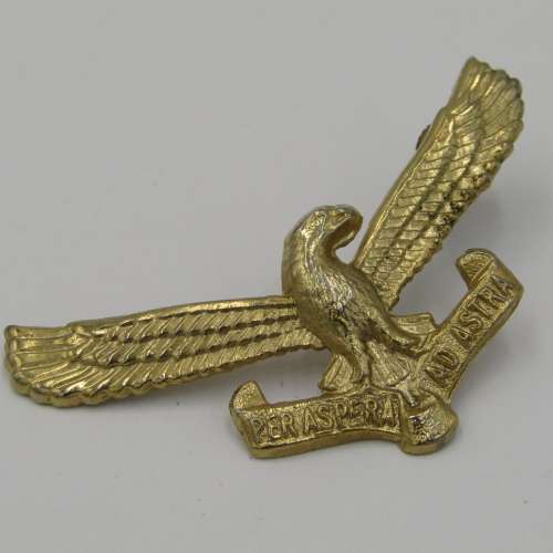Lot of 5 different SA Air Force badges