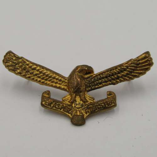 Lot of 5 different SA Air Force badges