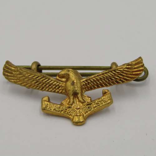 Lot of 5 different SA Air Force badges