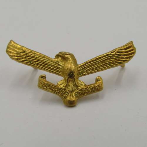 Lot of 5 different SA Air Force badges