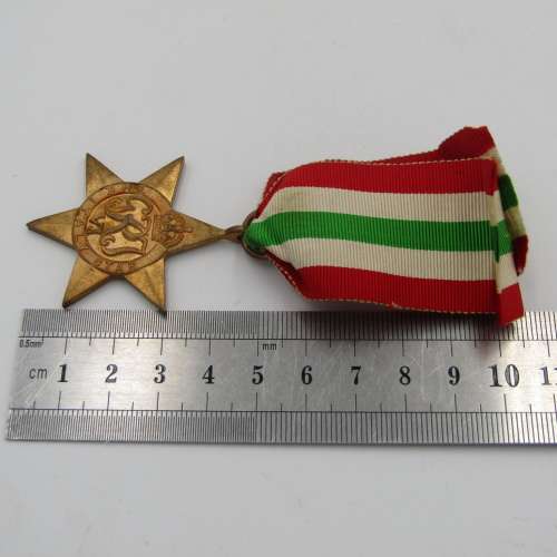 WW2 The Italy Star medal - unnamed version