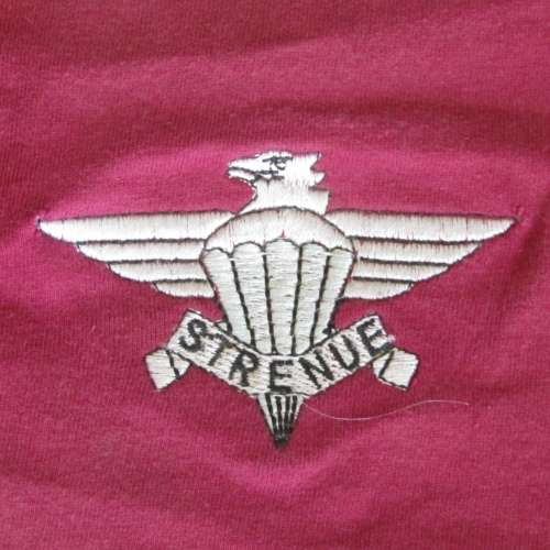 SA Army 3 Parachute battalion veterans t-shirt