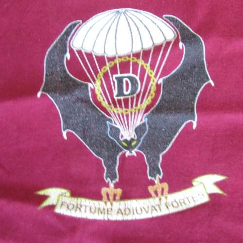 SA Army 1 Parachute battalion D-company Veterans t-shirt - Size Large