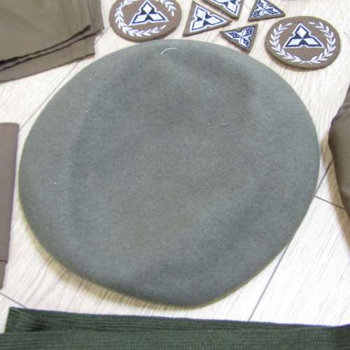 Collection of South West African Territorial Forces rank badges , marksman badges and beret and ties