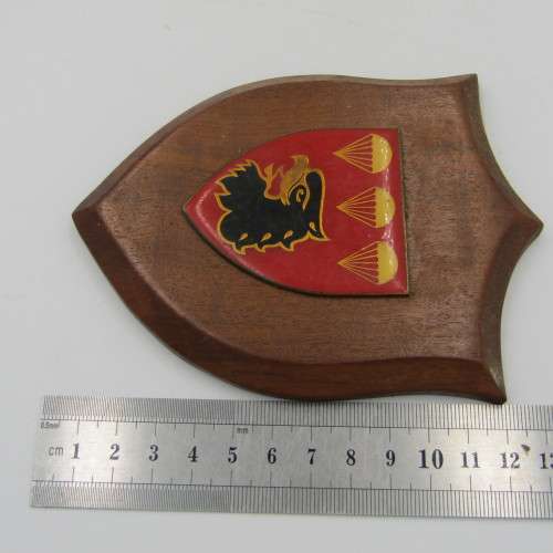 SADF 3 Parachute Battalion shoulder flash plaque